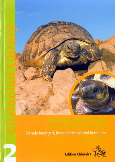 Hermann's Tortoise