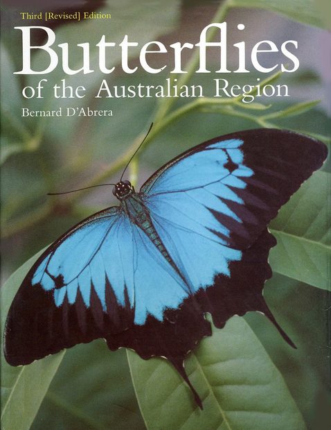 Butterflies of the Australian Region