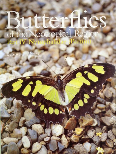 Butterflies of the Neotropical Region, Part 4