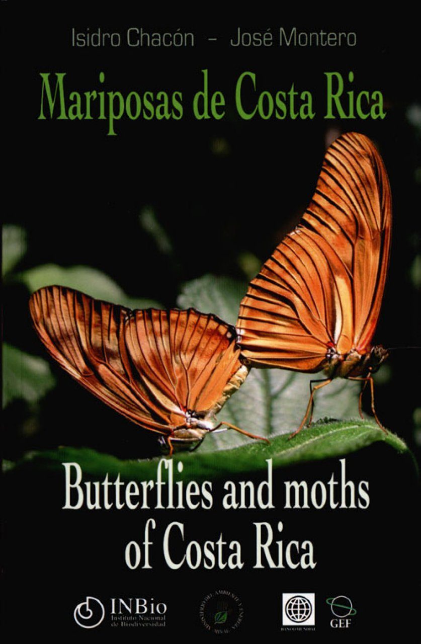 Mariposas De Costa Rica Butterflies And Moths Of Costa