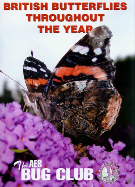 British Butterflies Throughout the Year