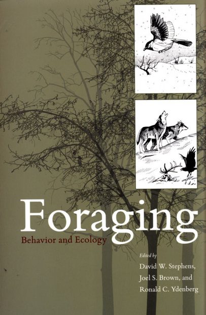 Foraging
