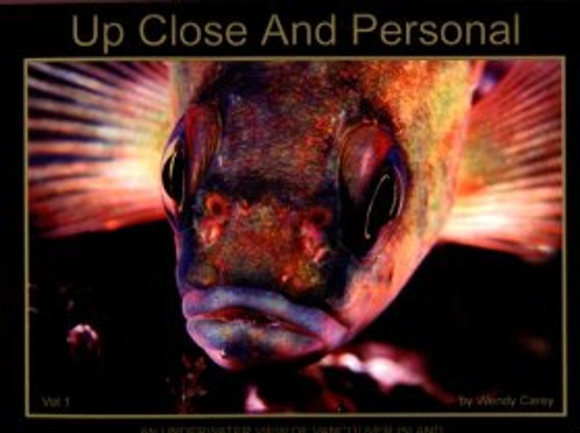 Up Close and Personal, Volume 1