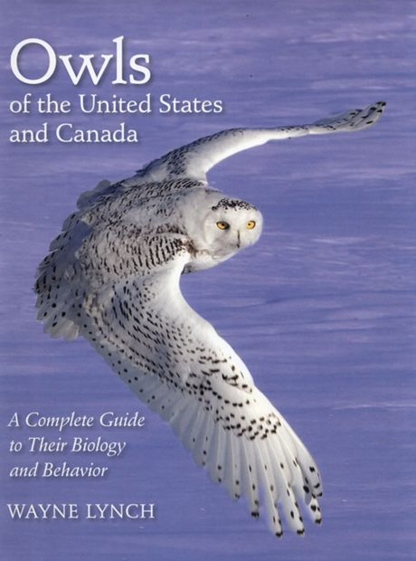 Owls of the United States and Canada