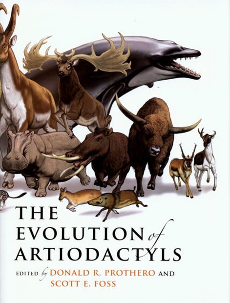 The Evolution of Artiodactyls