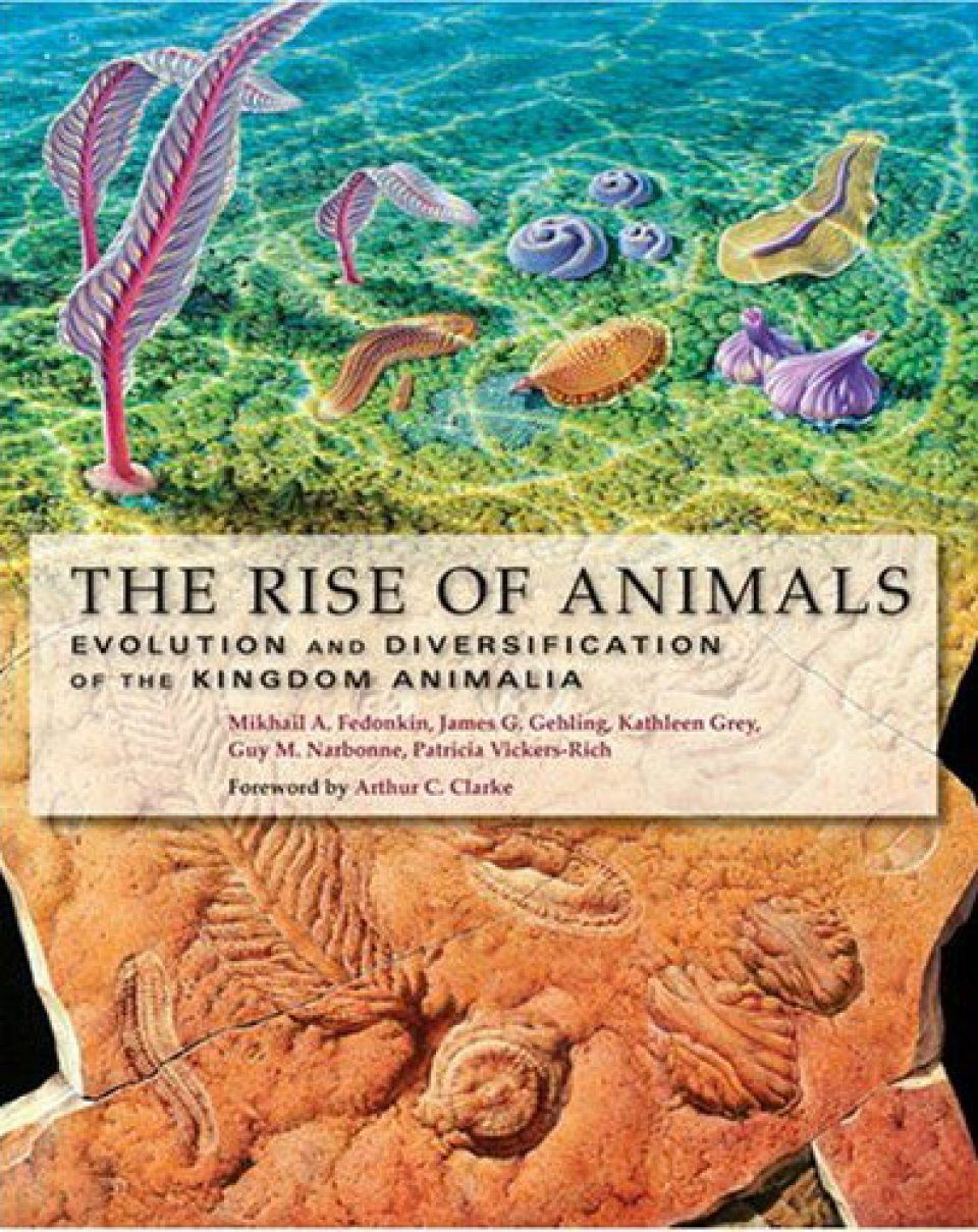 The Rise of Animals: Evolution and Diversification of the Kingdom Animalia  | NHBS Academic & Professional Books