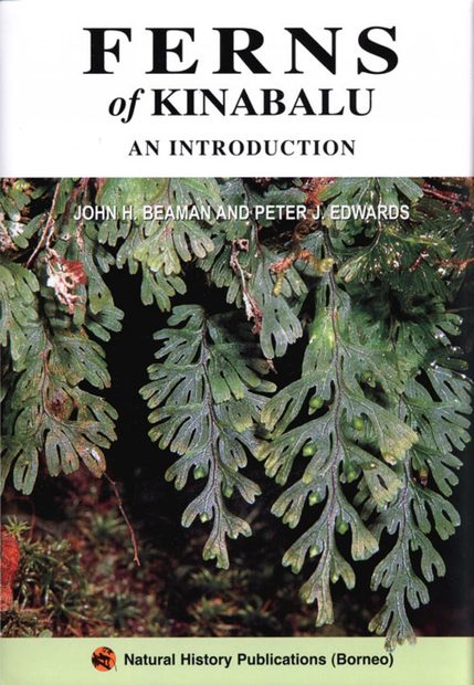 Ferns of Kinabalu