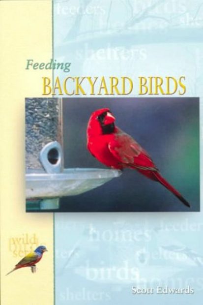 Feeding Backyard Birds