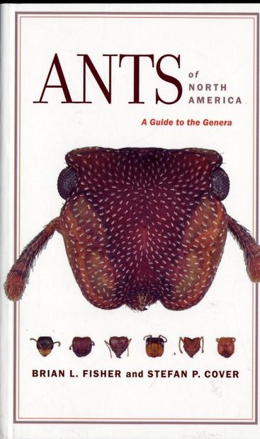 Ants of North America