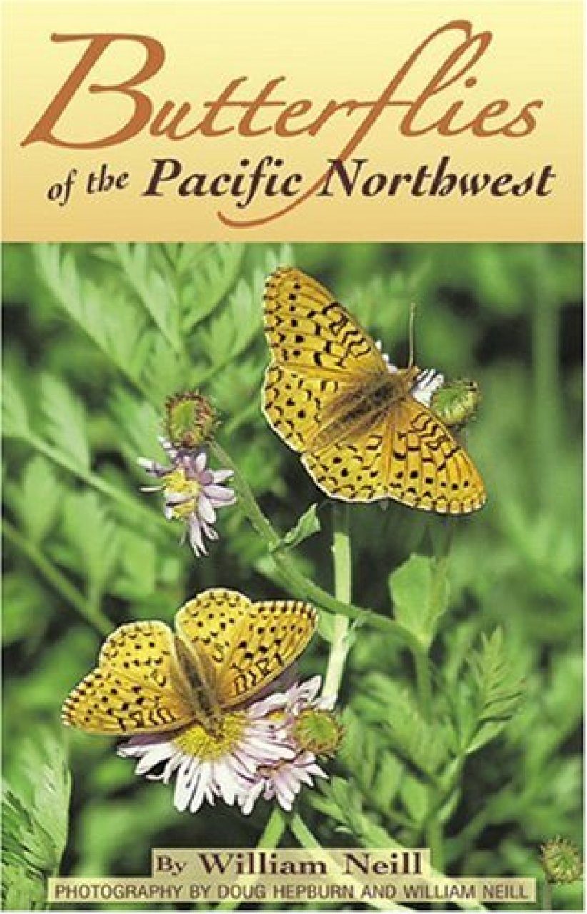 Butterflies Of The Pacific Northwest Nhbs Field Guides