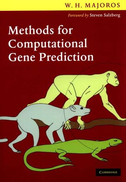 Methods for Computational Gene Prediction