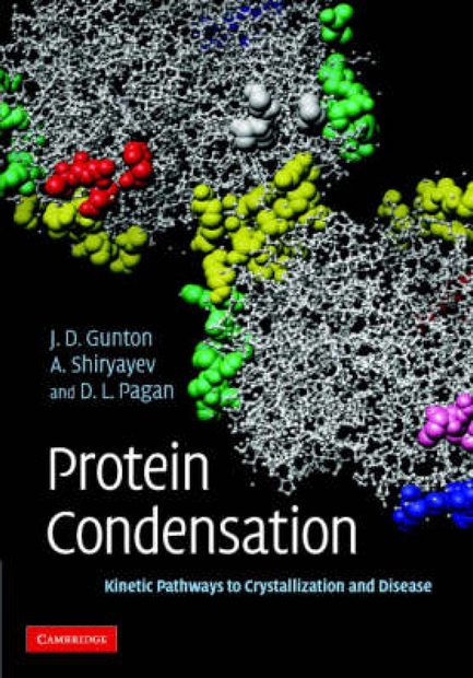Protein Condensation