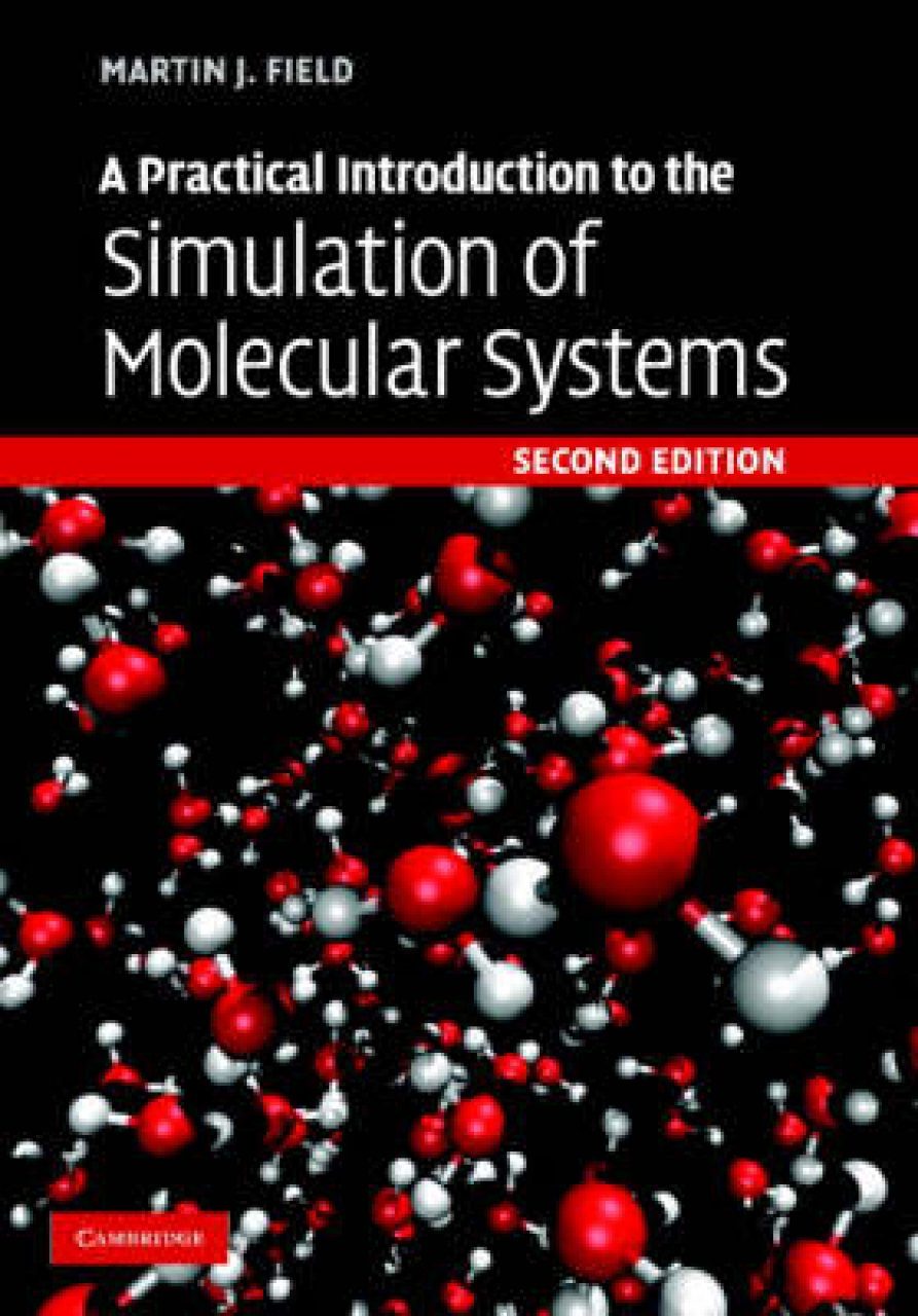 Martin field. Molecular Simulations. Molecular Mechanics. Molecular Quantum Mechanics. Roche Molecular Systems.