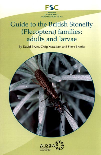 Guide to the British Stonefly (Plecoptera) Families: Adults and Larvae