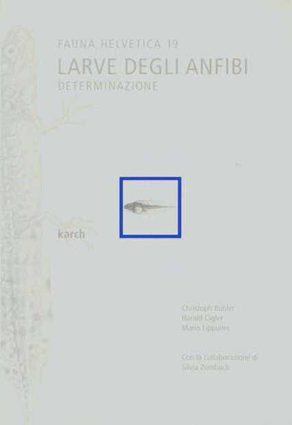 Fauna Helvetica 19: Larve Degli Anfibi - Determinazione [Italian]