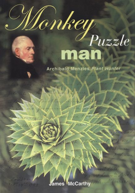 Monkey Puzzle Man