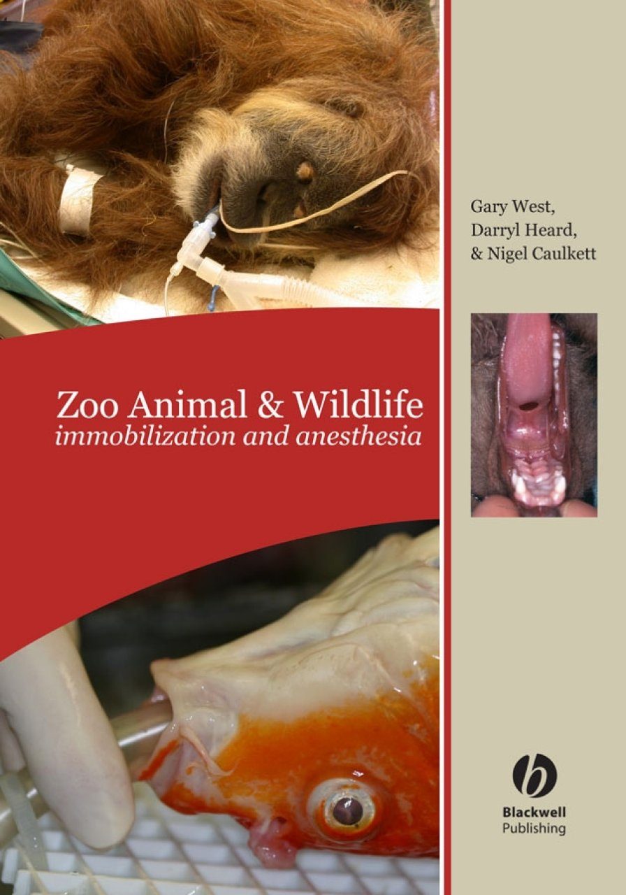 Zoo Animal & Wildlife: Immobilization and Anesthesia | NHBS Academic &  Professional Books