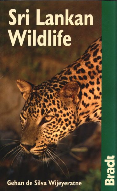 Bradt Wildlife Guide: Sri Lankan Wildlife