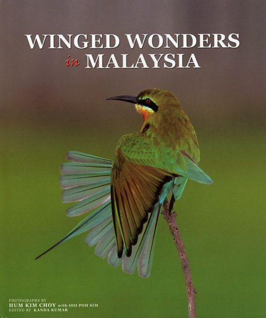 Winged Wonders in Malaysia