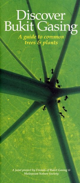 Discover Bukit Gasing