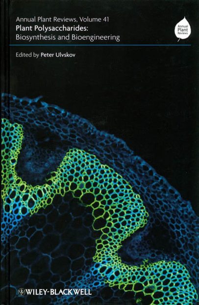 Plant Polysaccharides