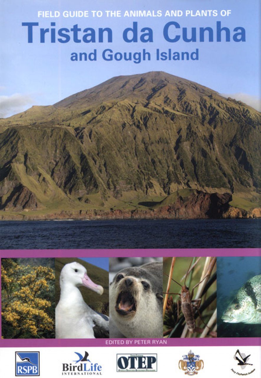 How to Get to Tristan Da Cunha: Your Ultimate Travel Guide