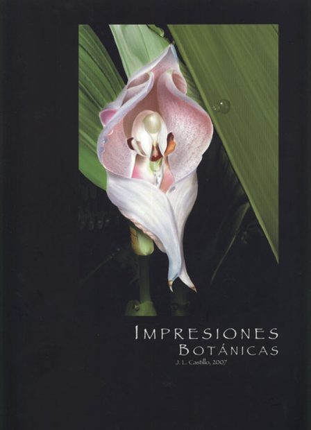 Impresiones Botanicas