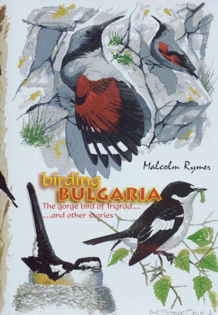 Birding Bulgaria (All Regions)