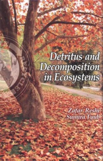 Detritus and Decomposition in Ecosystems