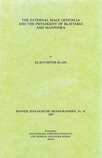 The External Male Genitalia and the Phylogeny of Blattaria and Mantodea