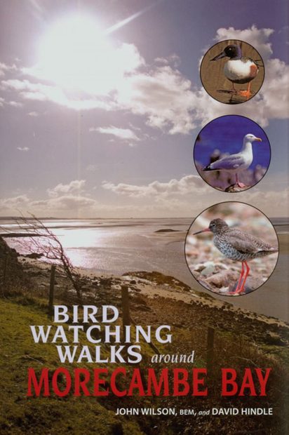 Birdwatching Walks Around Morecambe Bay