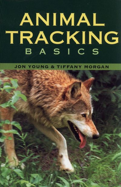 Animal Tracking Basics