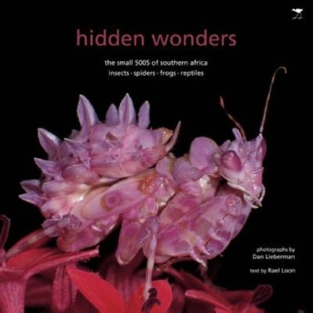 Hidden Wonders