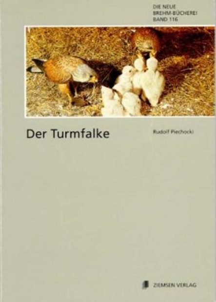 Der Turmfalke [The Common Kestrel]