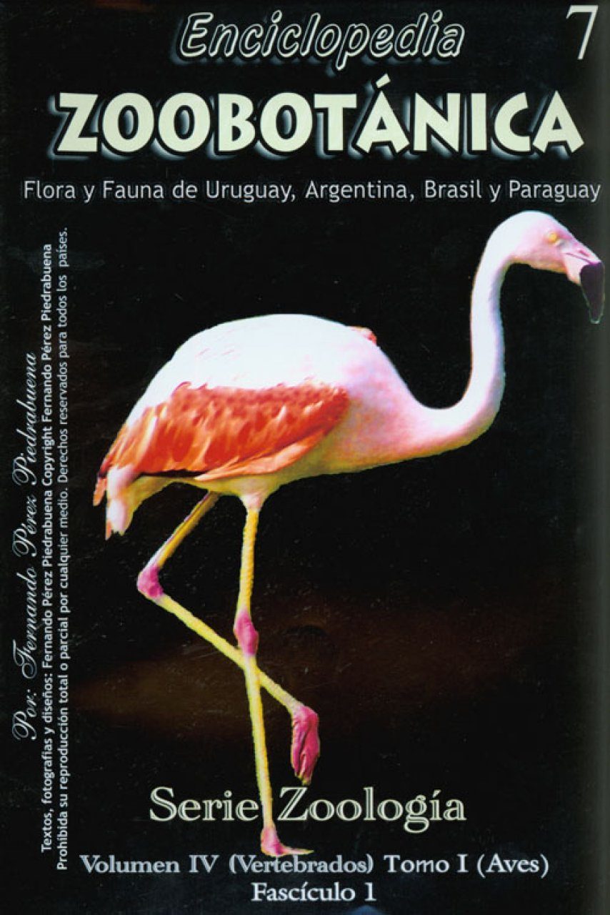 Por separado Camion pesado Padre fage Enciclopedia Zoobotanica Volumen IV (Vertebrados) Tomo I (Aves) | NHBS  Academic & Professional Books