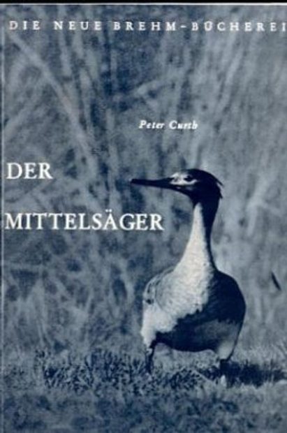 Der Mittelsäger [The Red-Breasted Merganser]