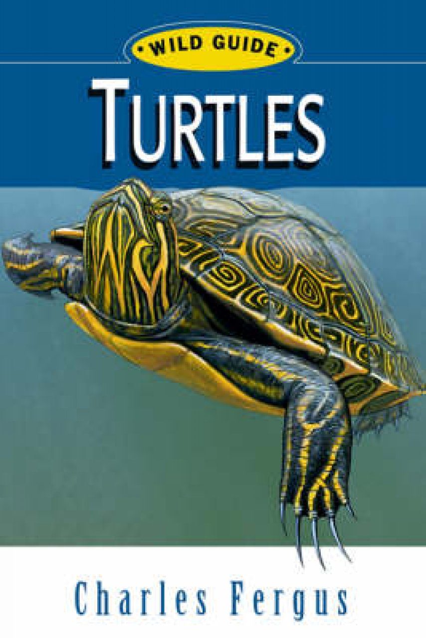 Wild Guide: Turtles | NHBS Academic & Professional Books