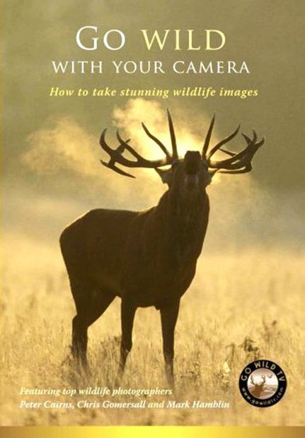 Go Wild With Your Camera - DVD (Region 2)