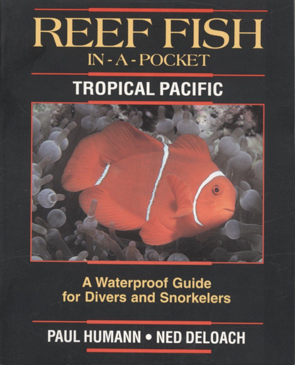 Reef Fish In A Pocket Waterproof Mini Books Tropical