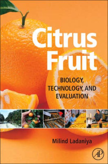 Citrus Fruit