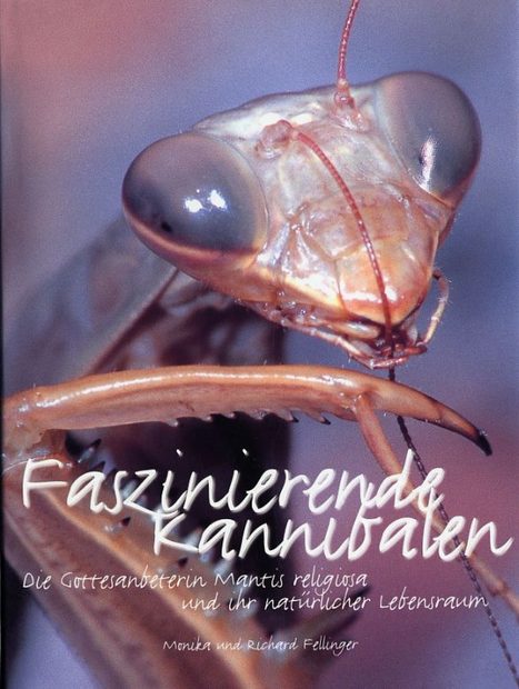 Faszinierende Kannibalen: Die Gottesanbeterin Mantis religiosa und ihr Natürlicher Lebensraum [Fascinating Cannibals: The Praying Mantis Mantis religiosa and its Natural Habitat]