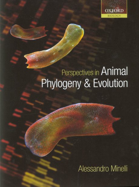 Perspectives in Animal Phylogeny and Evolution