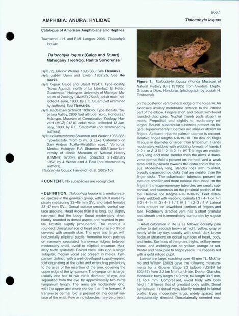 Catalogue of American Amphibians and Reptiles: Numbers 801-820