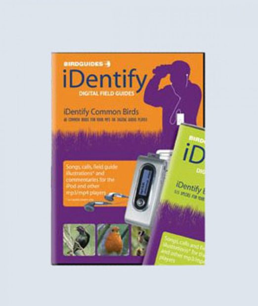 iDentify Common Birds