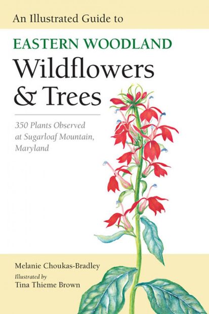An Illustrated Guide to Eastern Woodland Wildflowers & Trees