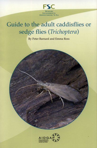 A Guide to the Adult Caddisflies or Sedge Flies (Trichoptera)
