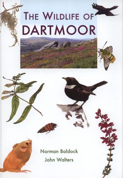 The Wildlife of Dartmoor