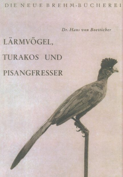 Lärmvögel, Turakos und Pisangfresser [Go-Away-Birds, Turacos and Musophaga]