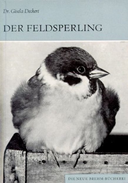Der Feldsperling [The Tree Sparrow]