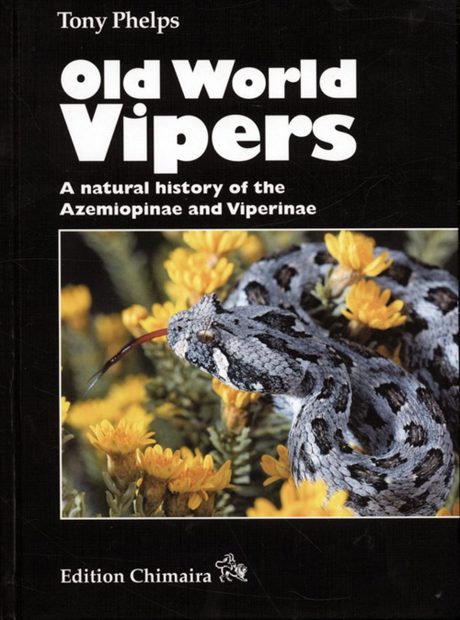 Old World Vipers